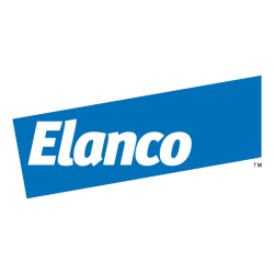 ELAN